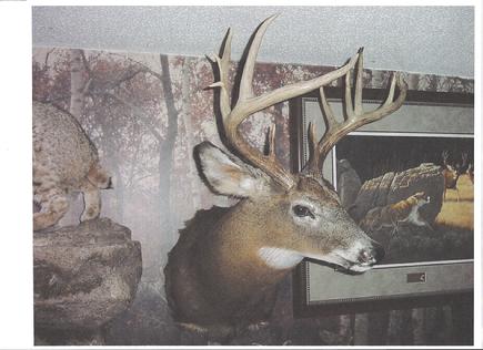 Mounted Deer